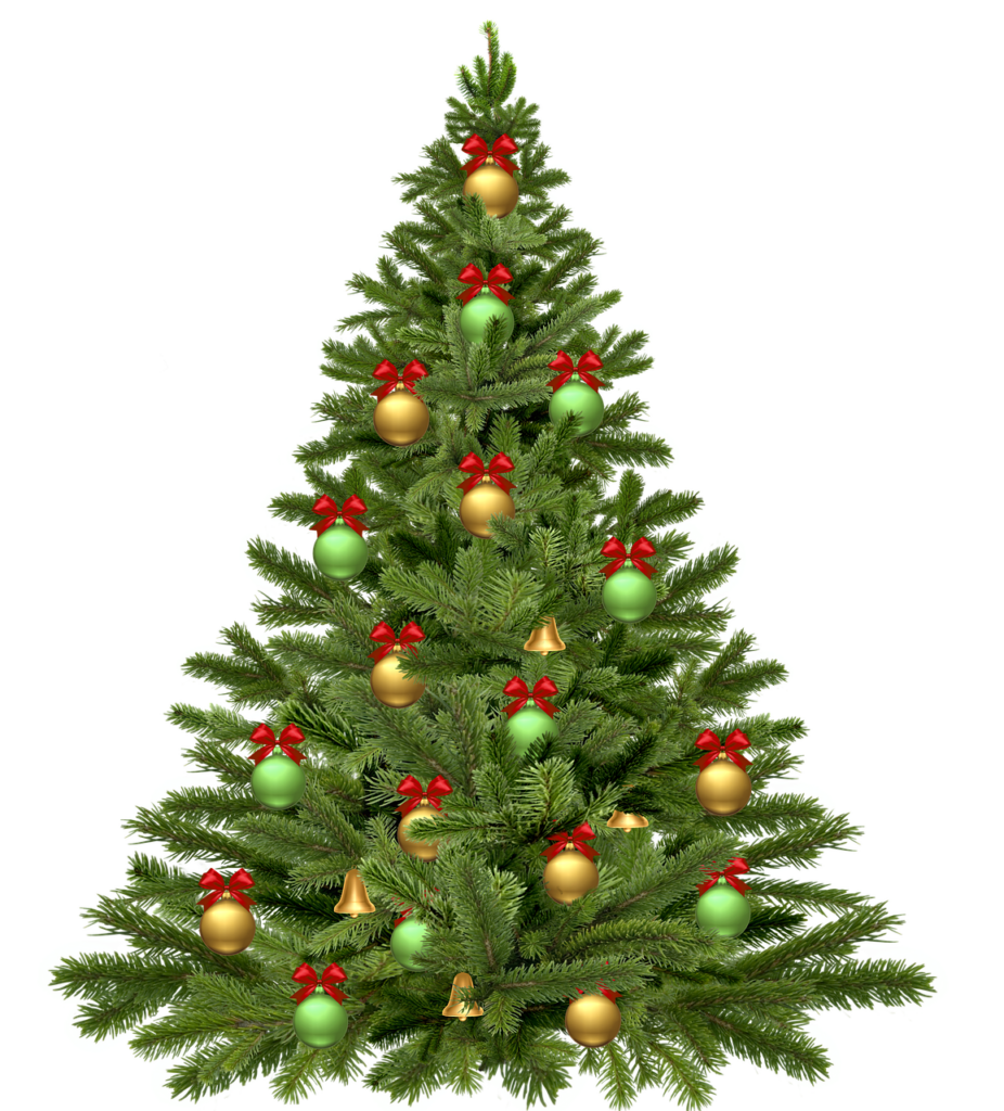 christmas tree, holidays, christmas-1808558.jpg